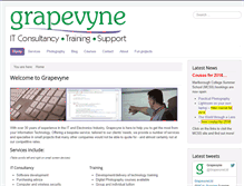 Tablet Screenshot of grapevyne.com